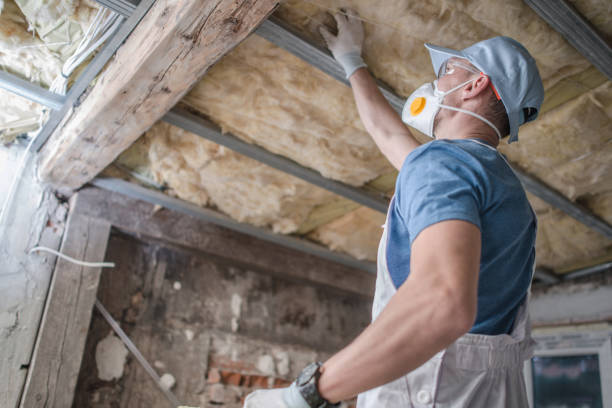 Best DIY Insulation Kits and Guidance in Lenox, IA