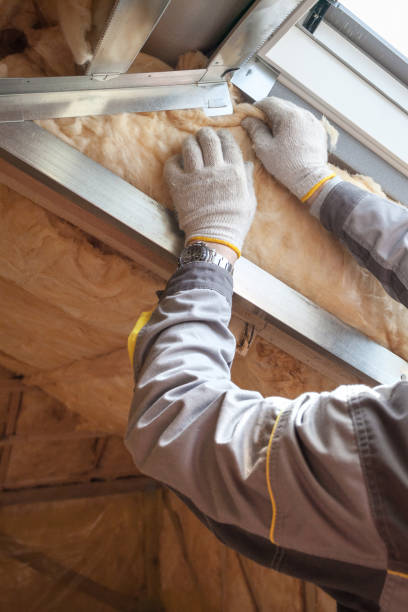 Best Commercial Insulation in Lenox, IA