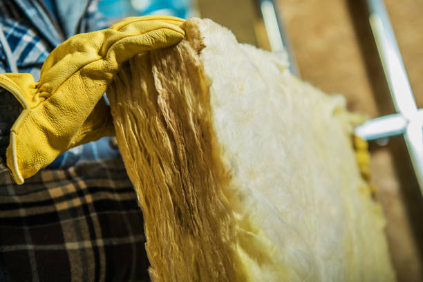 Best Spray Foam Insulation in Lenox, IA