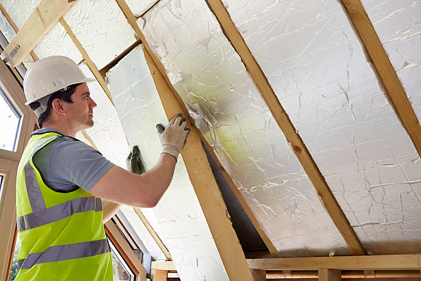 Best Energy Efficiency Insulation in Lenox, IA